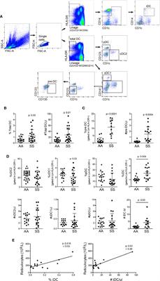 Inflammatory Dendritic Cells Contribute to Regulate the Immune Response in Sickle Cell Disease